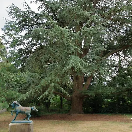 Normandie 12 Couchages * LʼAigle