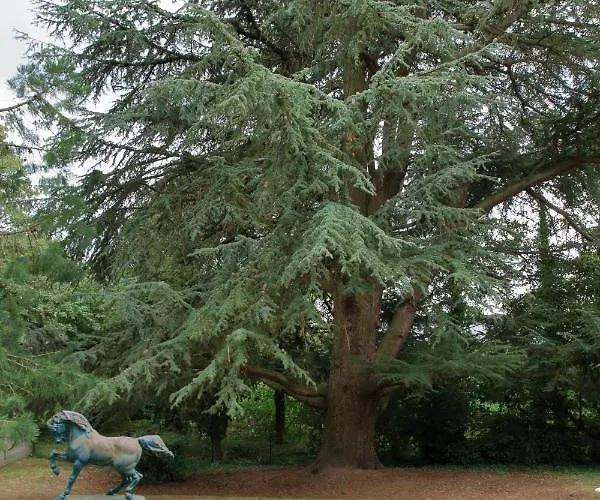 Normandie 12 Couchages * LʼAigle